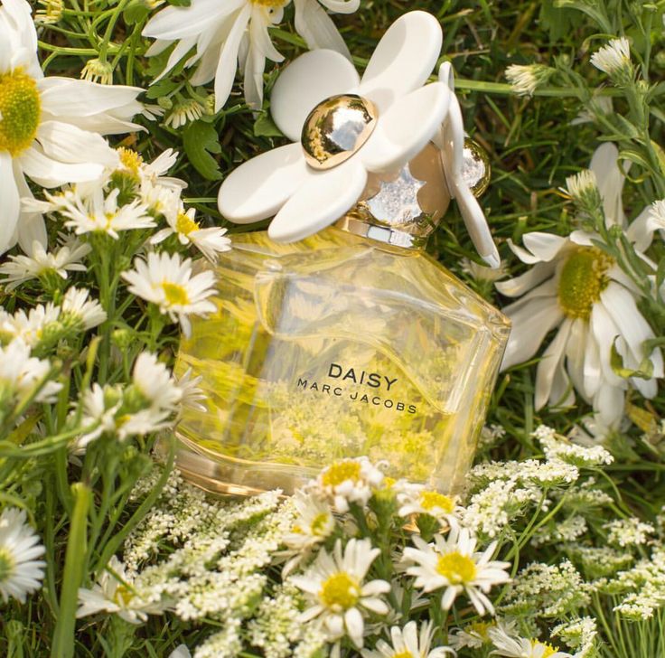 Daisy Love Marc Jacobs