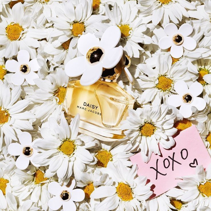 Daisy Love Marc Jacobs