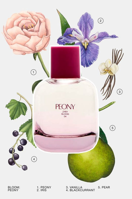 Peony Zara