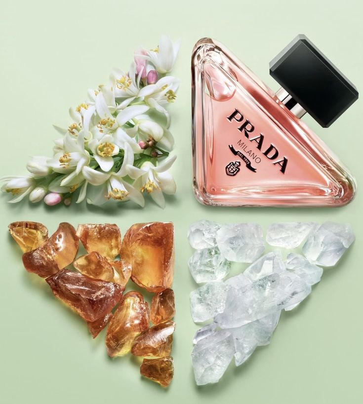 Prada Paradoxe
