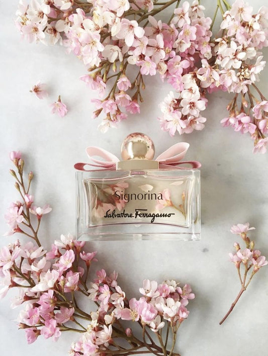 Signorina Salvatore Ferragamo
